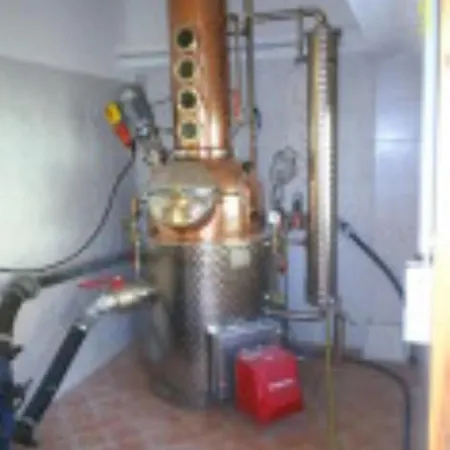 Hermannshohe Fewo 6